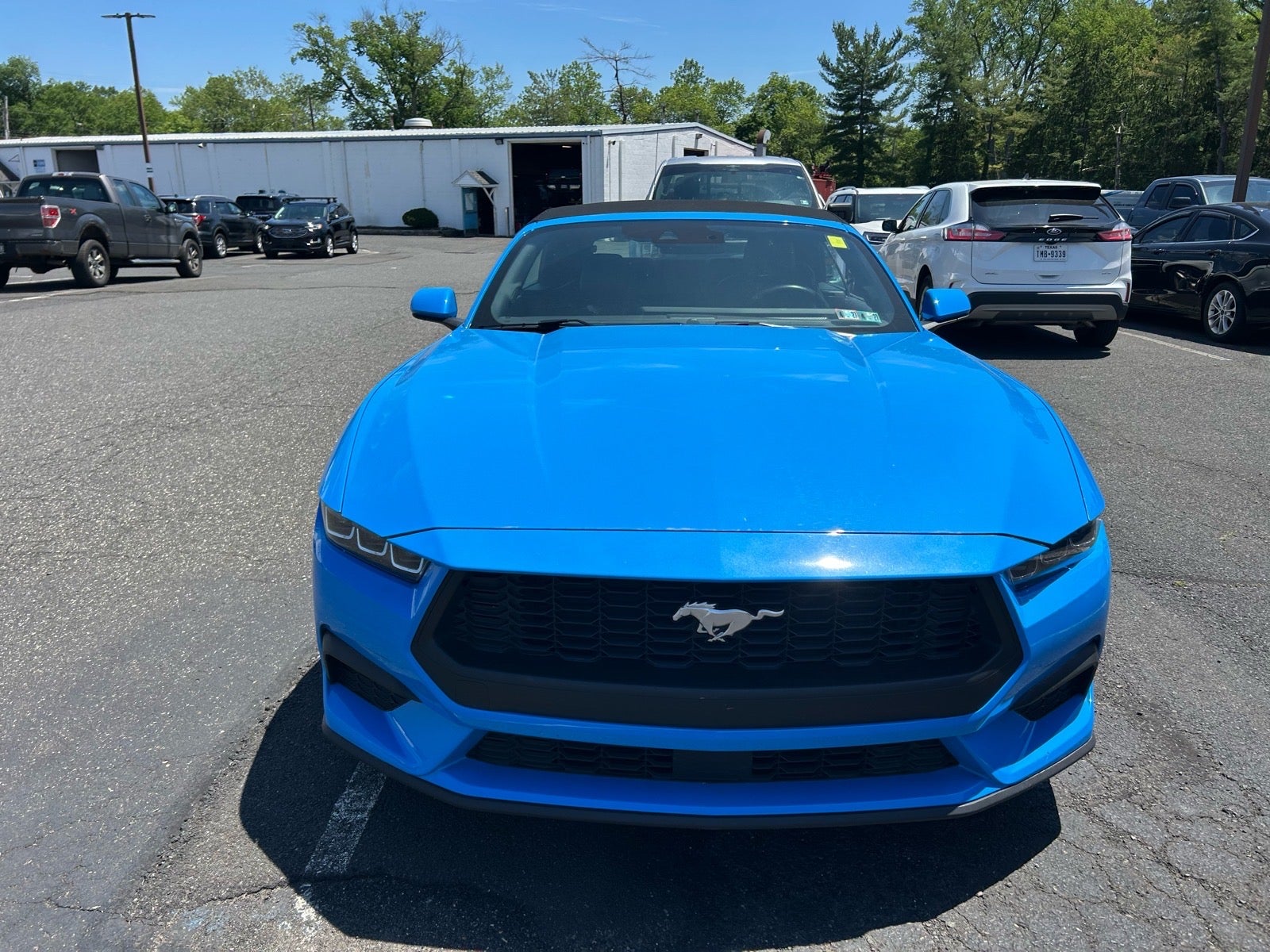 2025 Ford Mustang EcoBoost Premium