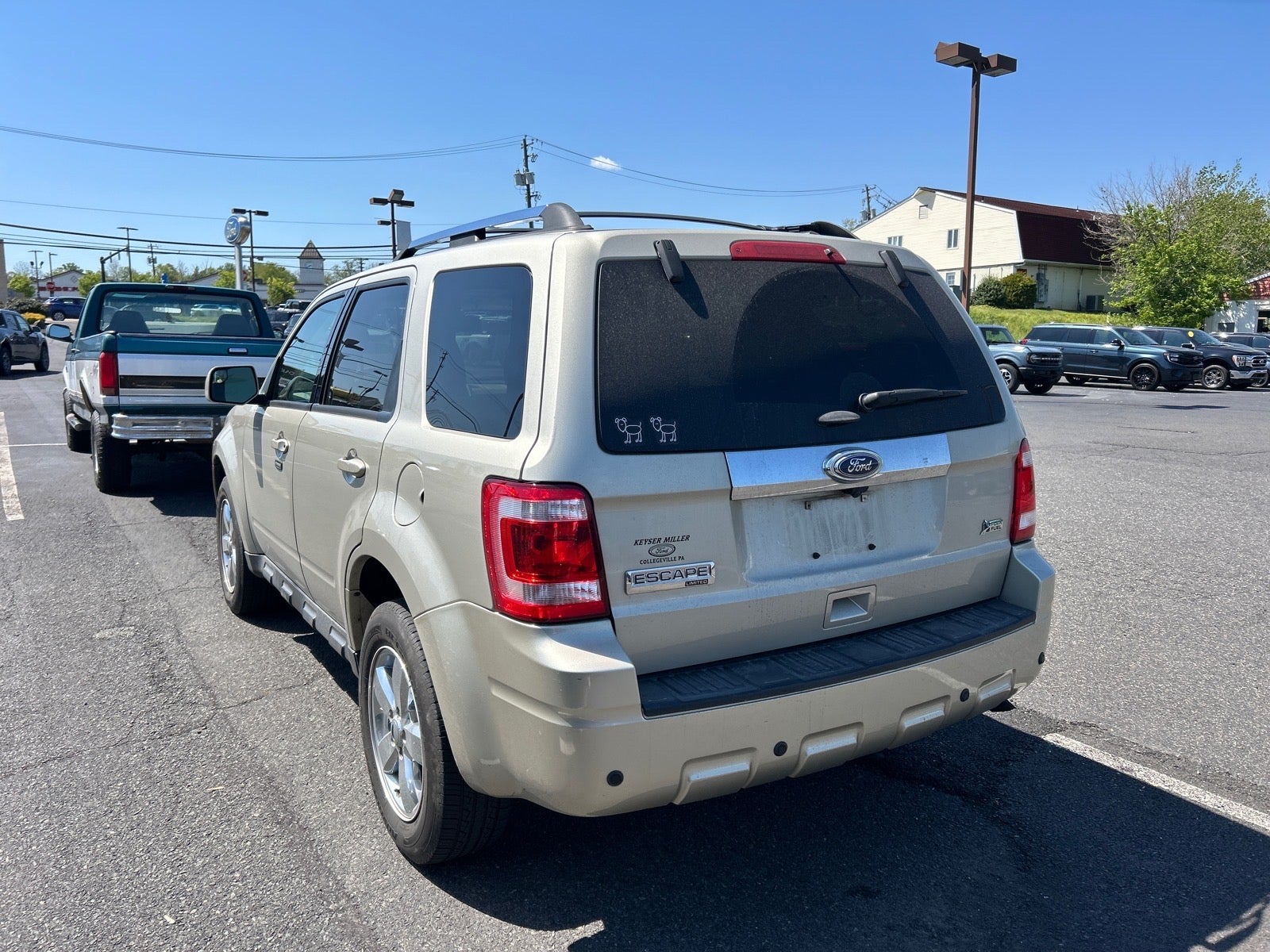 2011 Ford Escape Limited