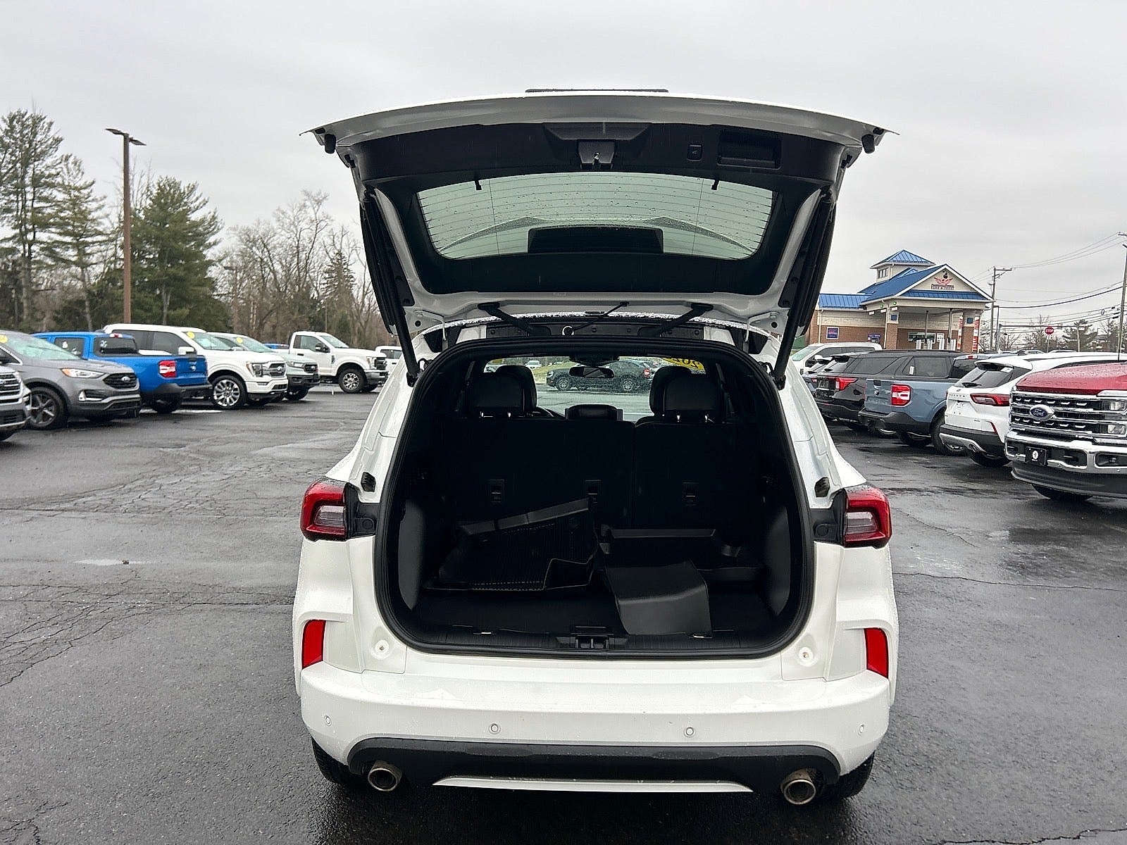 2023 Ford Escape ST-Line