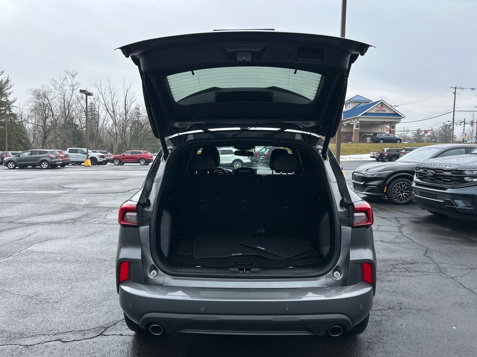 2023 Ford Escape ST-Line Elite