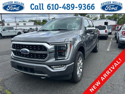 2021 Ford F-150 Platinum