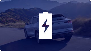 Battery Confidence icon